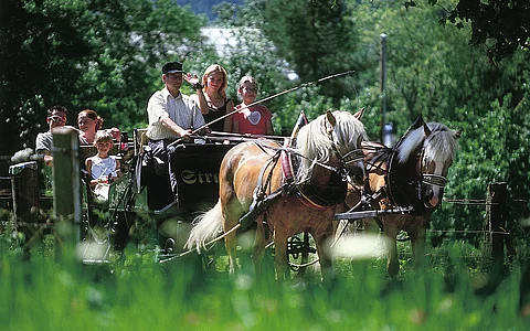 Reiterhotel mit Kutsche