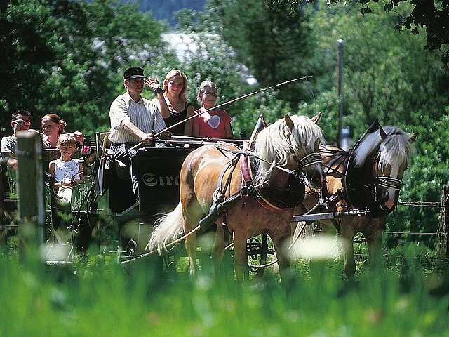 Reiterhotel mit Kutsche