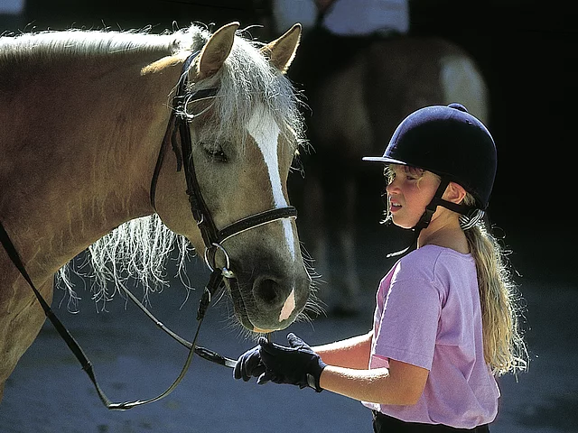 Reiterhof mit Haflinger für Kinder