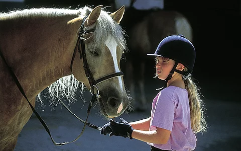 Reiterhof mit Haflinger für Kinder