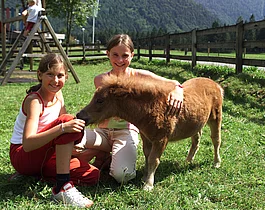 Familienurlaub auf dem Reiterhof Strasserwirt