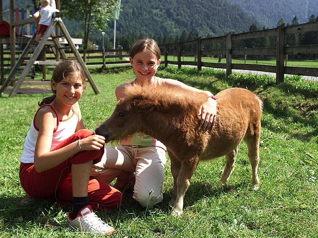 Familienurlaub auf dem Reiterhof Strasserwirt