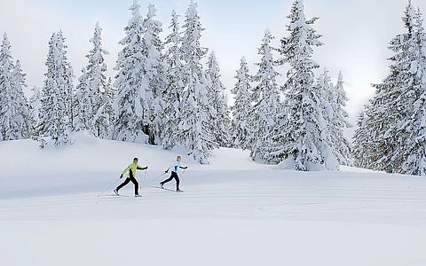 Aktivurlaub - Langlaufen in Tirol